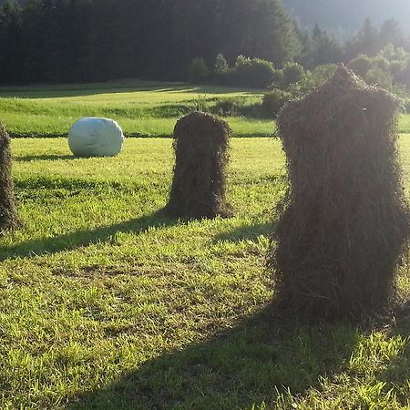 Ferienwohnung Parth Sautens Esterno foto